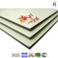 Aluminum/Aluminium Plastic Composite Panel /Interior Wall Decoration Material